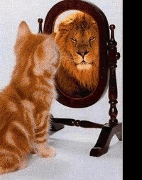 Picture for Creating Positive Change package